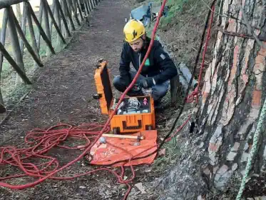 Monumentrees cura del verde