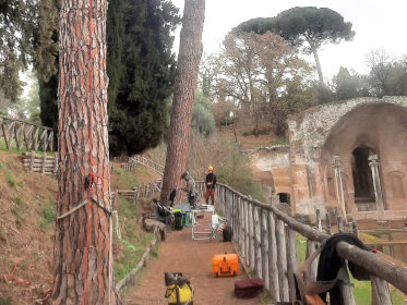 Monumentrees: cura e manutenzione dei parchi storici