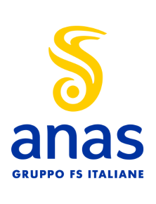 ANAS Logo