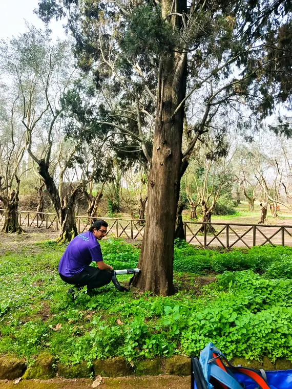 Verifica di un albero ad alto fusto presso Villa Adriana a Tivoli.