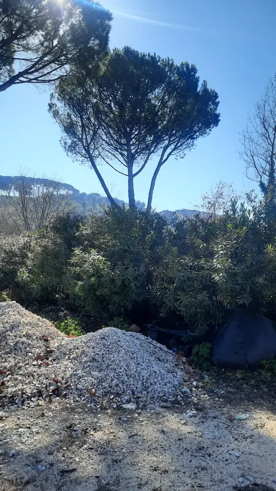 Parco area archeologica presso il Santuario di Ercole Vincitore a Tivoli