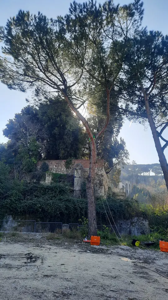 Corde metalliche e strumentazione per effettuare la prova di trazione dell'albero.