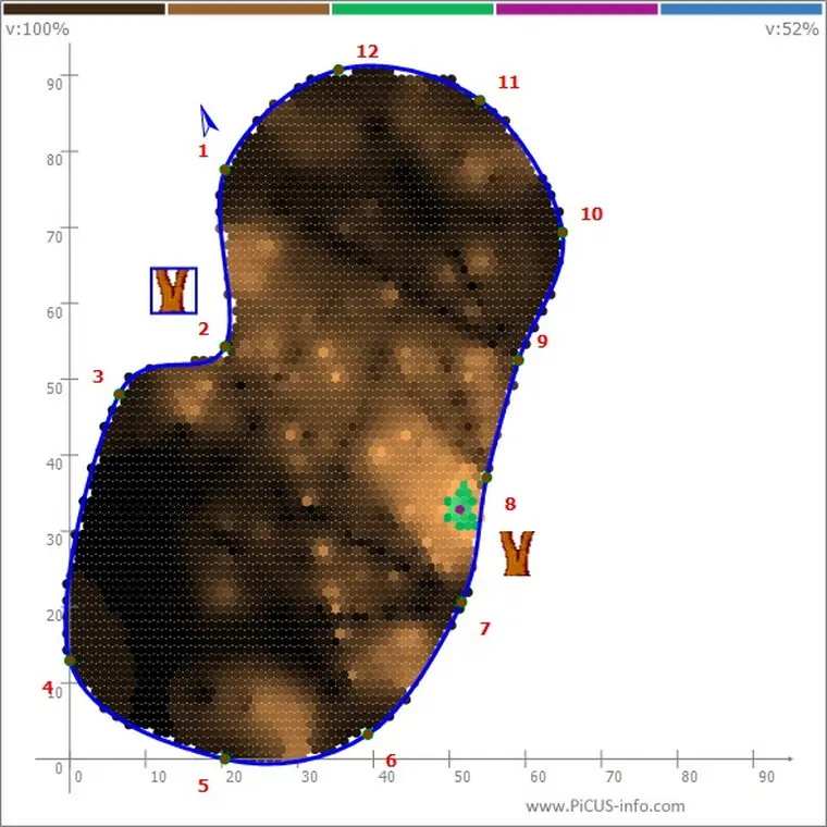 Ingrandimento del risultato grafico della tomografia effettuata sul secondo albero.